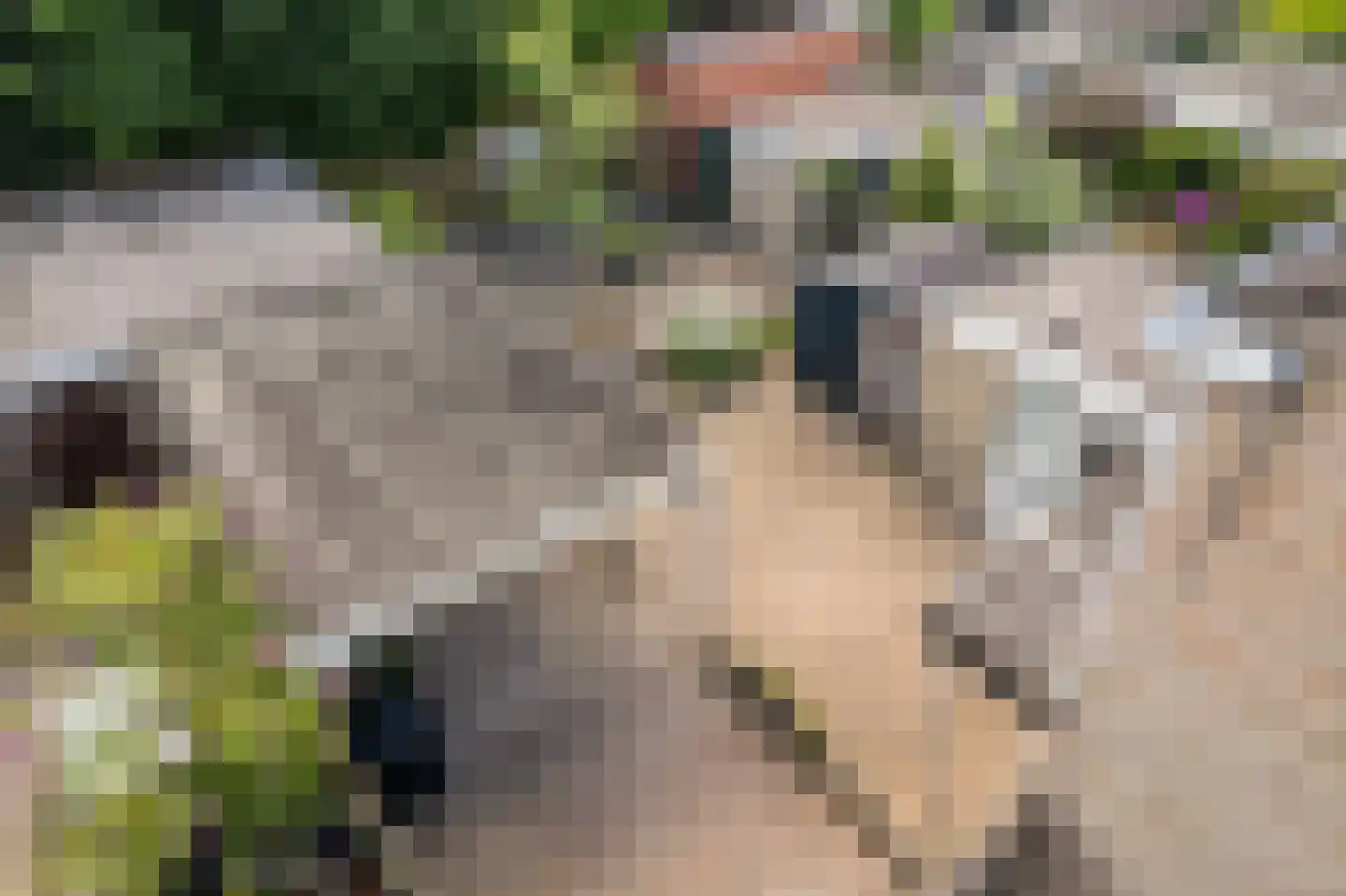 Hulstlaan 10 Zuidlaren thumbnail 15