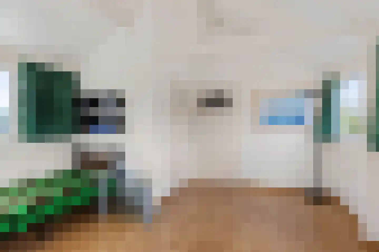 Hulstlaan 10 Zuidlaren thumbnail 31