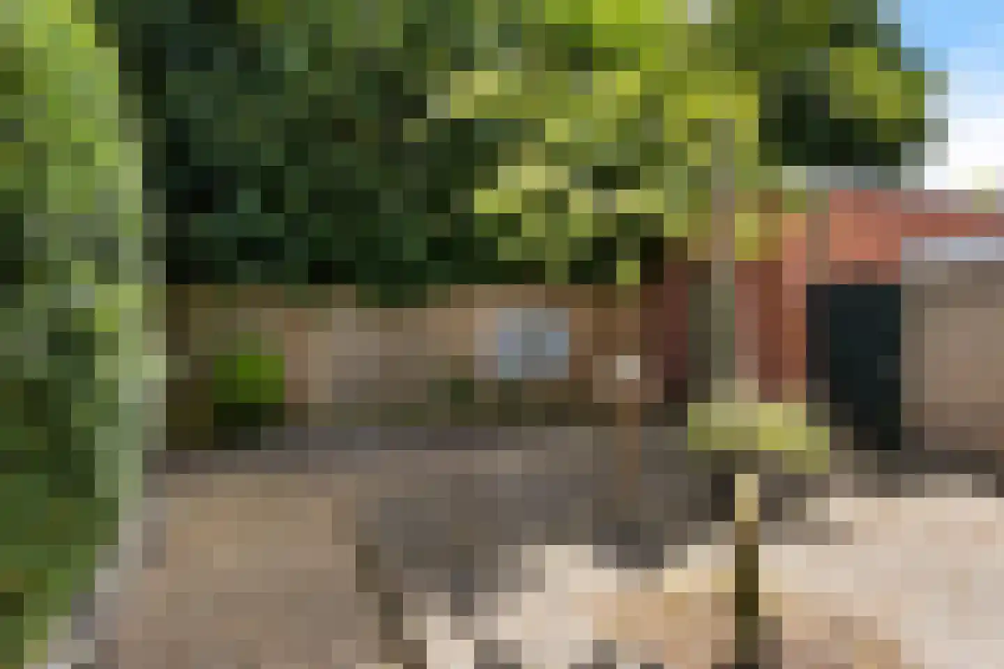 Hulstlaan 10 Zuidlaren thumbnail 37