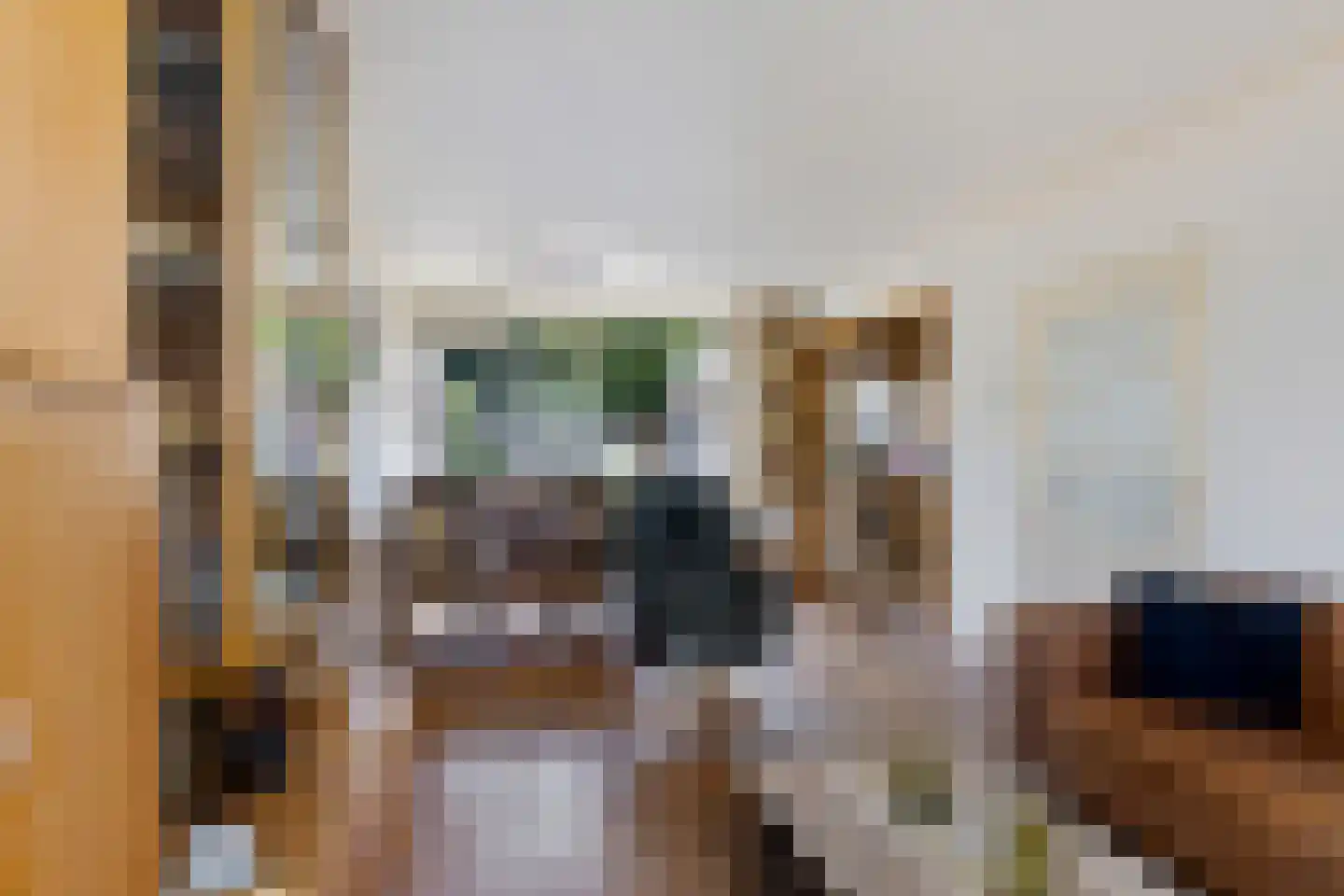 Hulstlaan 10 Zuidlaren thumbnail 6