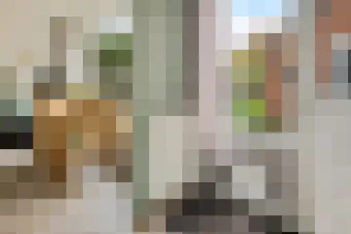 Hulstlaan 21 Zuidlaren thumbnail 10