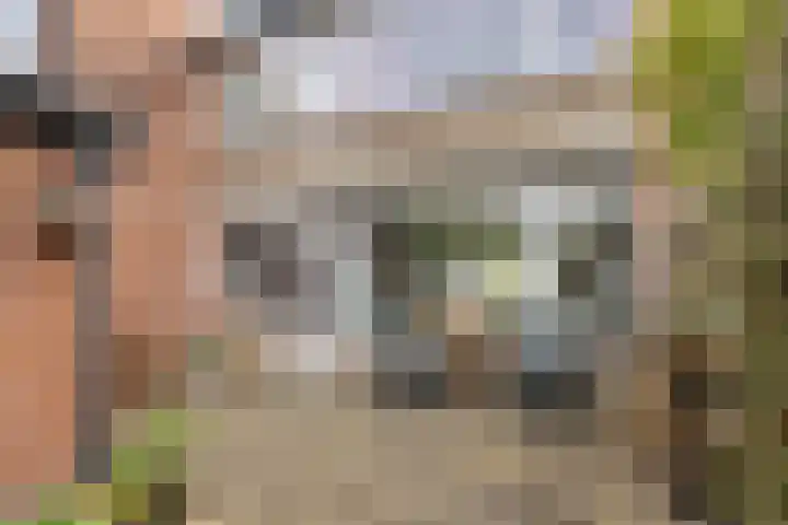Hulstlaan 21 Zuidlaren thumbnail 11