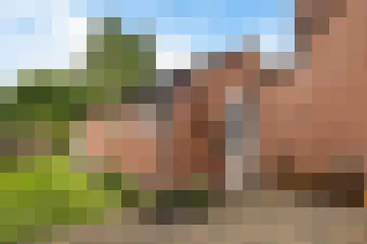 Hulstlaan 21 Zuidlaren thumbnail 12