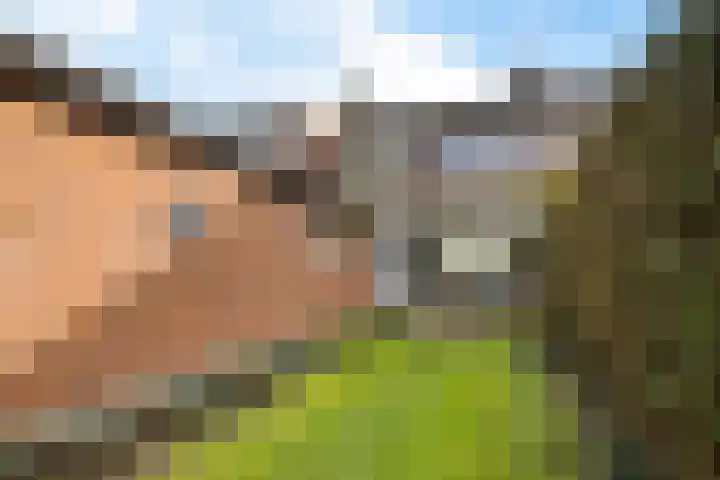 Hulstlaan 21 Zuidlaren thumbnail 14