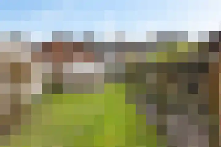 Hulstlaan 21 Zuidlaren thumbnail 15