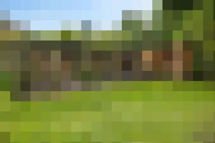 Hulstlaan 21 Zuidlaren thumbnail 16