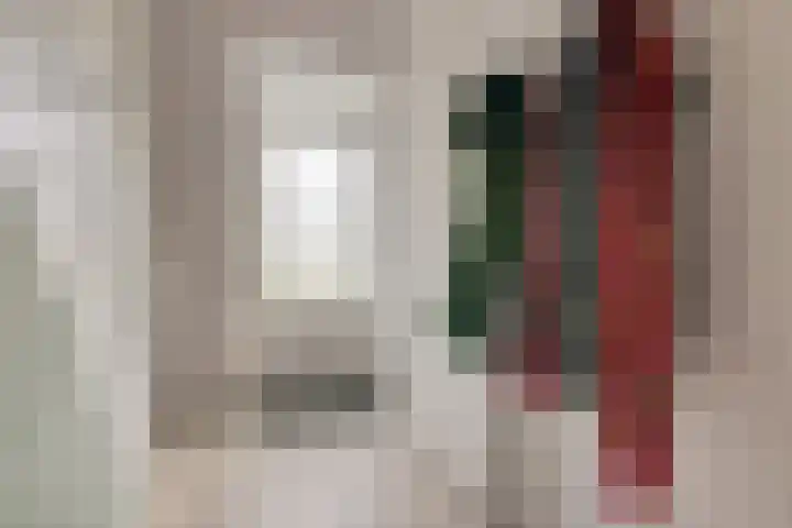 Hulstlaan 21 Zuidlaren thumbnail 20