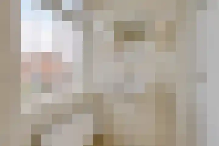 Hulstlaan 21 Zuidlaren thumbnail 23