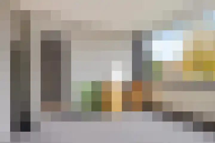 Hulstlaan 21 Zuidlaren thumbnail 26