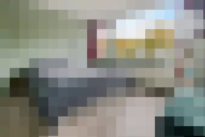 Hulstlaan 21 Zuidlaren thumbnail 30