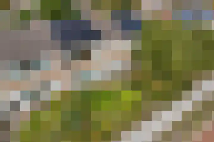 Hulstlaan 21 Zuidlaren thumbnail 32