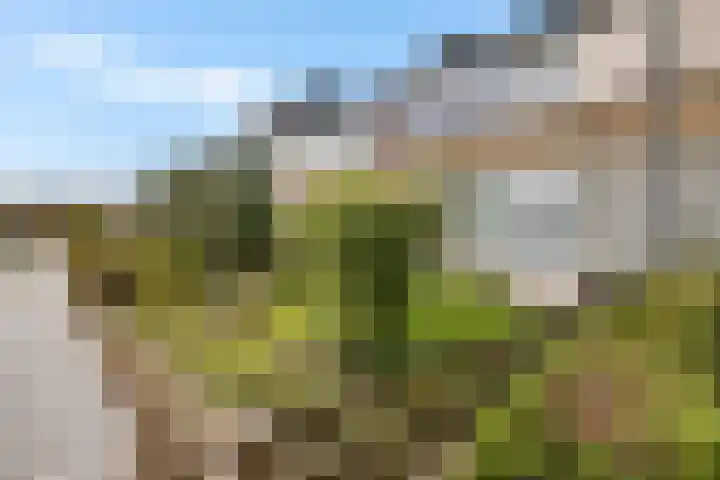Hulstlaan 21 Zuidlaren thumbnail 33