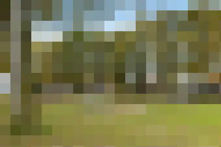Hulstlaan 21 Zuidlaren thumbnail 34