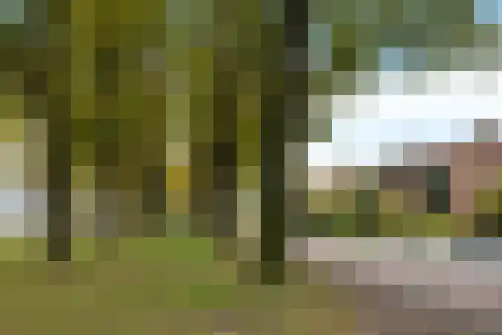 Hulstlaan 21 Zuidlaren thumbnail 35