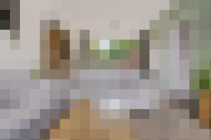 Hulstlaan 21 Zuidlaren thumbnail 4