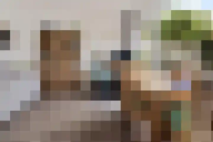 Hulstlaan 21 Zuidlaren thumbnail 5