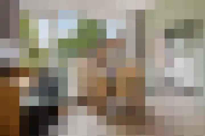 Hulstlaan 21 Zuidlaren thumbnail 6