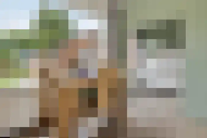 Hulstlaan 21 Zuidlaren thumbnail 7