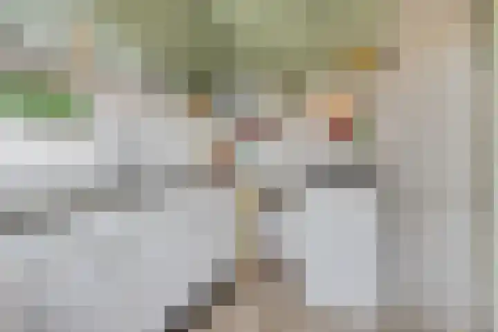 Hulstlaan 21 Zuidlaren thumbnail 9
