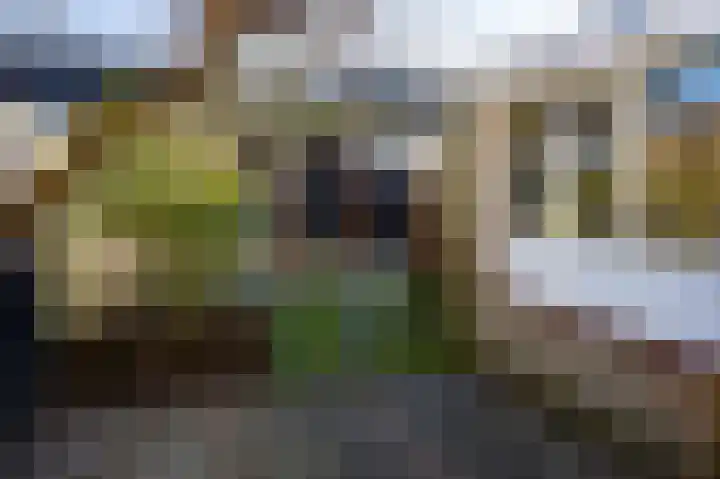 Hulstlaan 45 Heerhugowaard thumbnail 21