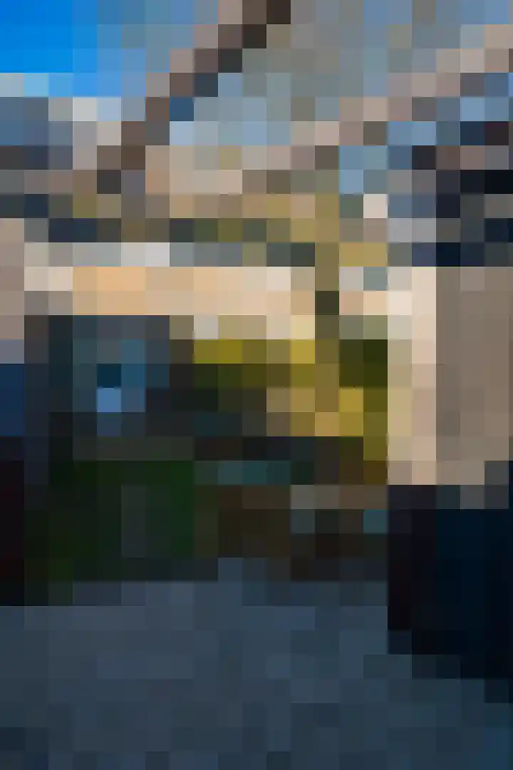Hulstlaan 45 Heerhugowaard thumbnail 23