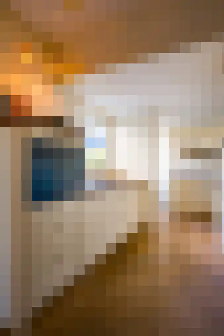 Hulstlaan 45 Heerhugowaard thumbnail 5