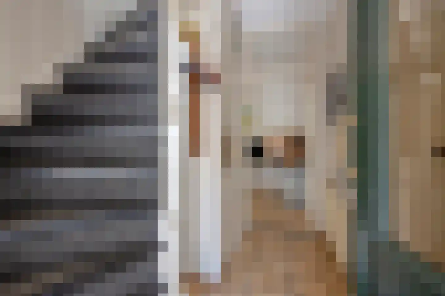 Hulststraat 21 Echt thumbnail 17