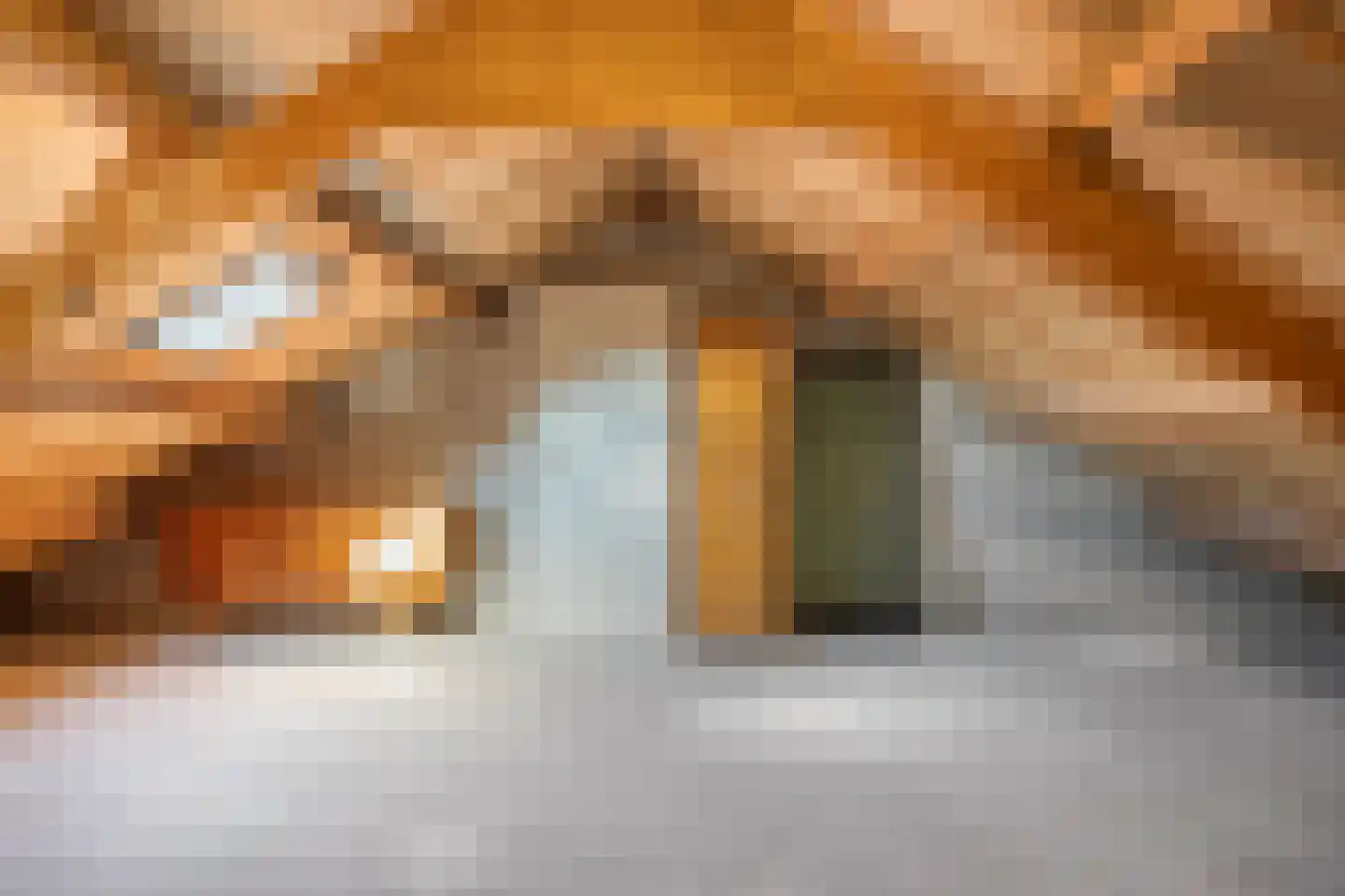 Hulststraat 21 Echt thumbnail 29
