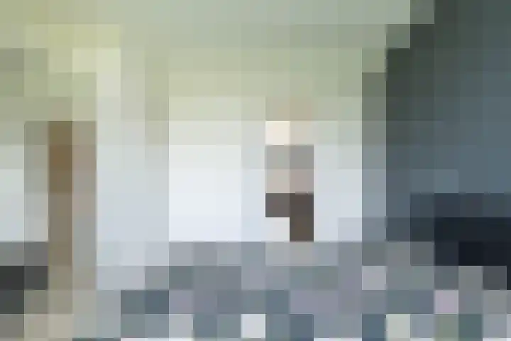 Hulststraat 21 Hoogeveen thumbnail 17