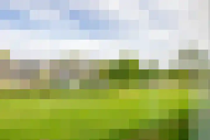 Hulststraat 21 Hoogeveen thumbnail 18