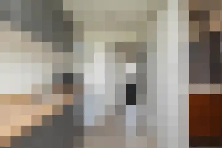 Hulststraat 21 Hoogeveen thumbnail 22