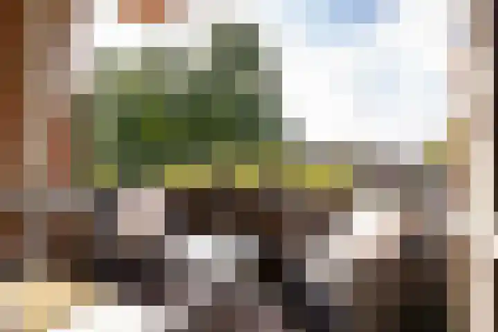 Hulststraat 21 Hoogeveen thumbnail 28