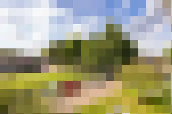 Hulststraat 21 Hoogeveen thumbnail 30