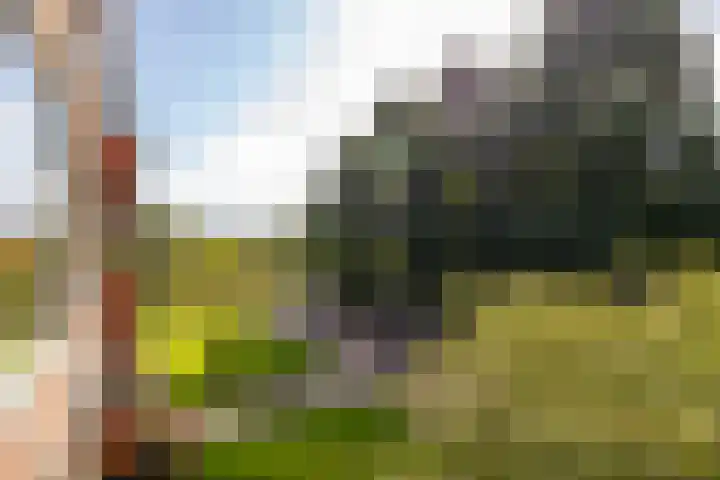 Hulststraat 21 Hoogeveen thumbnail 31
