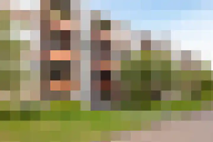 Hulststraat 21 Hoogeveen thumbnail 39