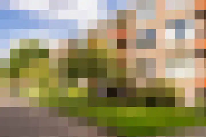 Hulststraat 21 Hoogeveen thumbnail 45