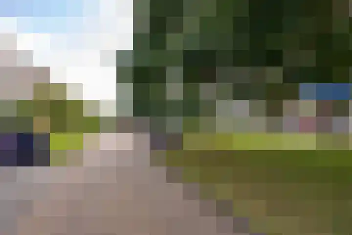 Hulststraat 21 Hoogeveen thumbnail 46