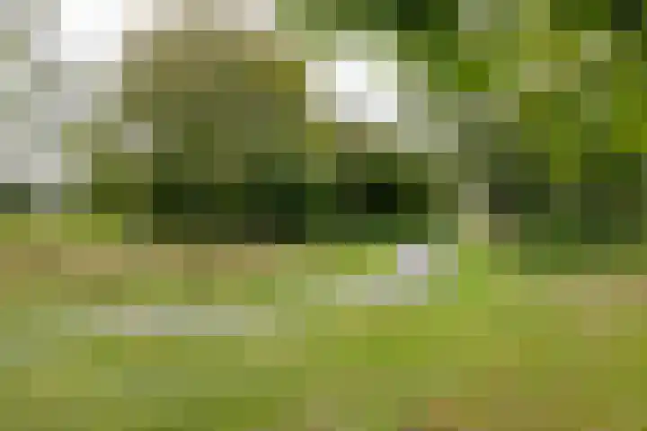 Hulststraat 21 Hoogeveen thumbnail 48