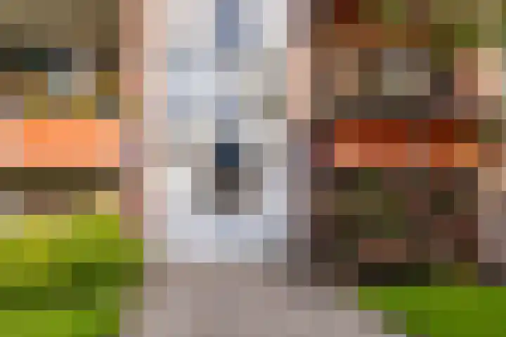 Hulststraat 21 Hoogeveen thumbnail 6
