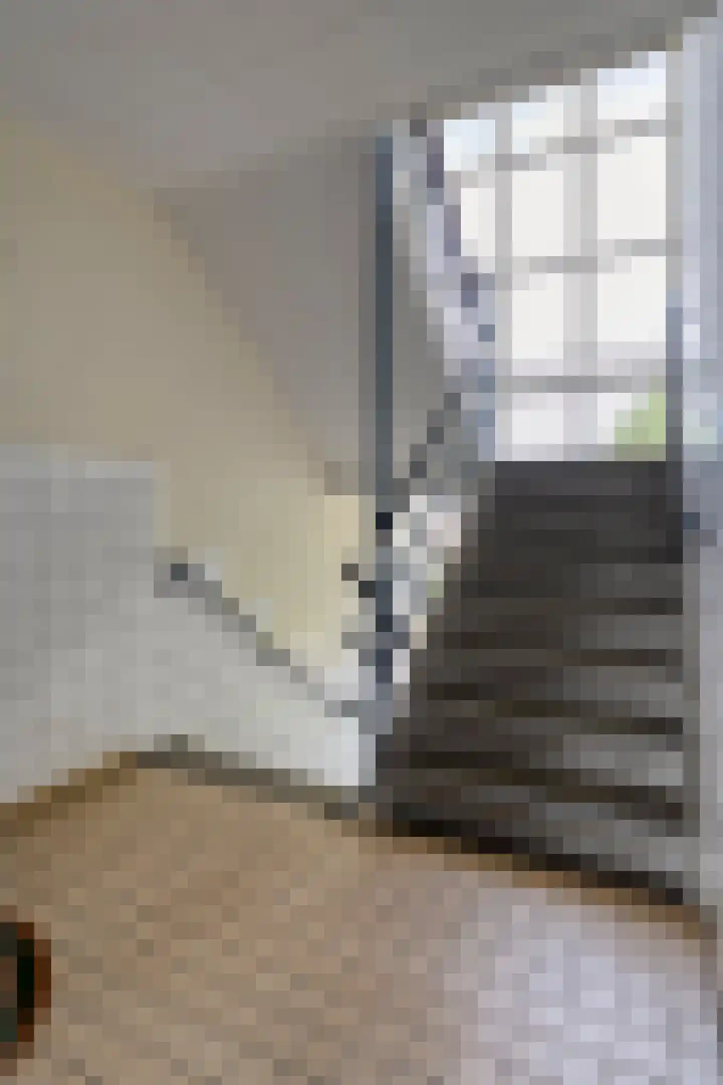 Hulststraat 3 Hoogeveen thumbnail 33