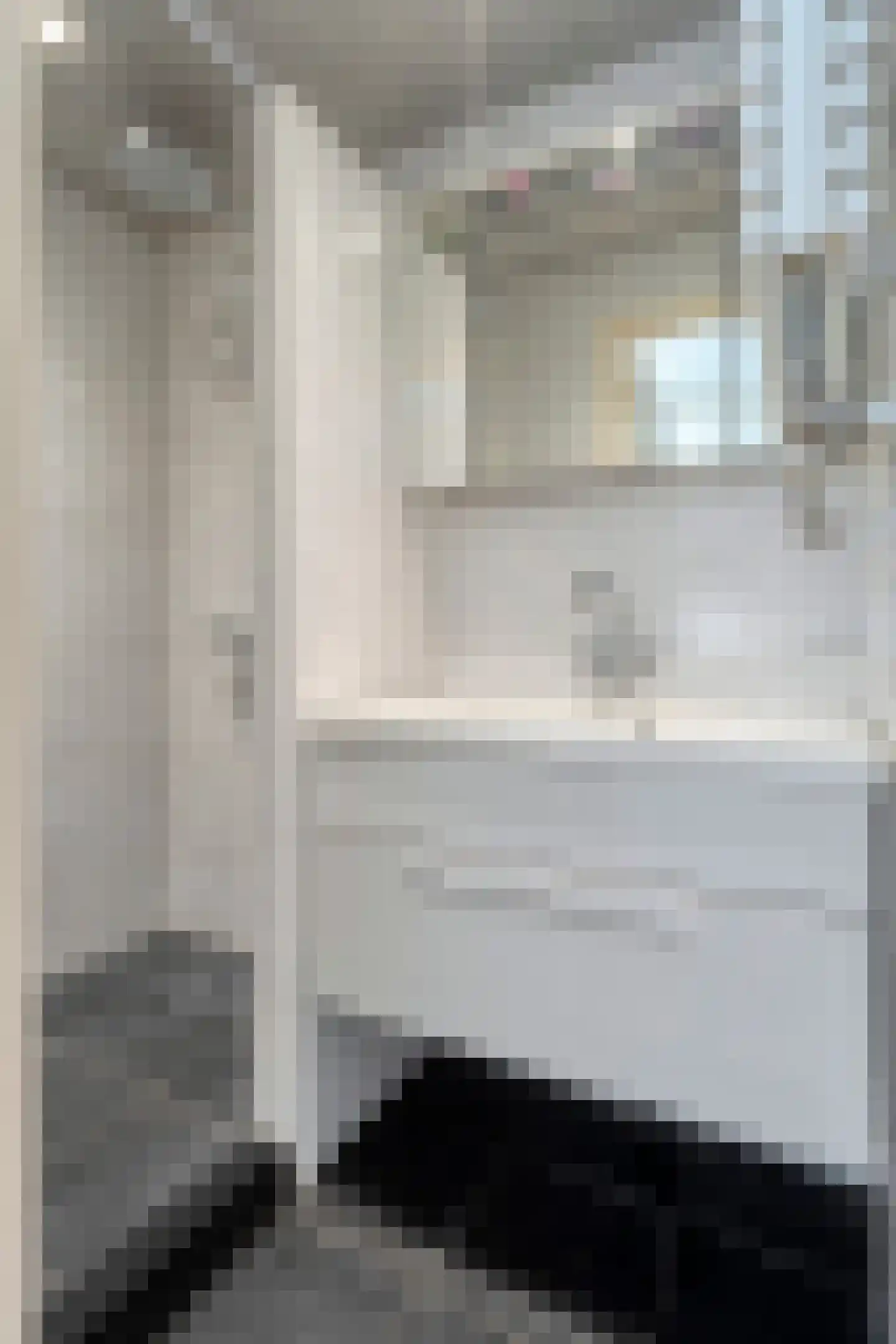 Hulststraat 3 Hoogeveen thumbnail 38