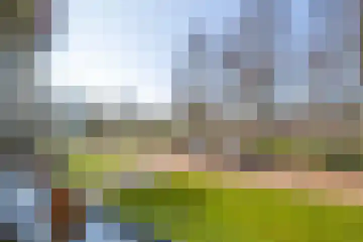 Hulststraat 37 Hoogeveen thumbnail 17