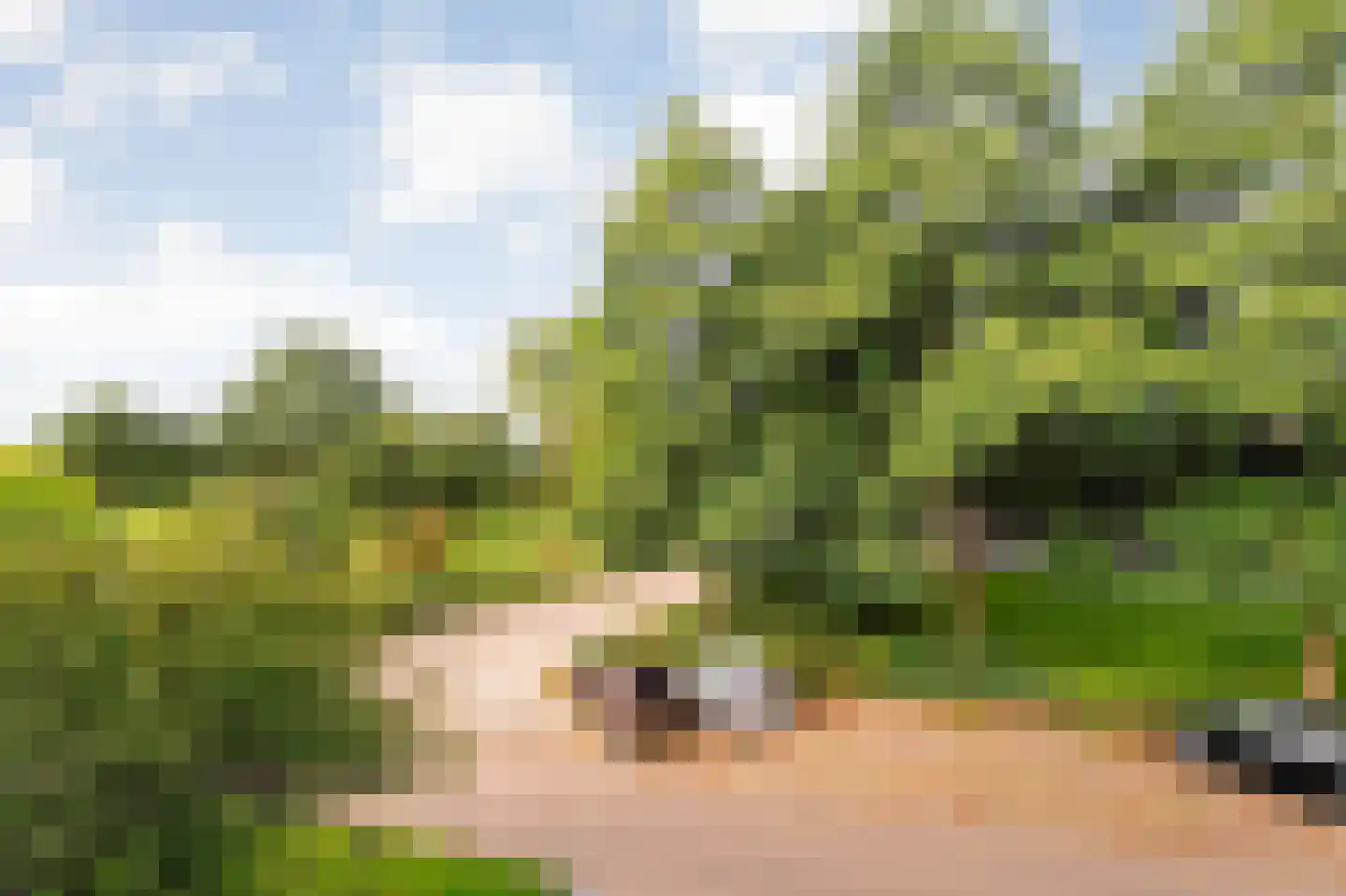 Hulststraat 39 Hoogeveen thumbnail 25