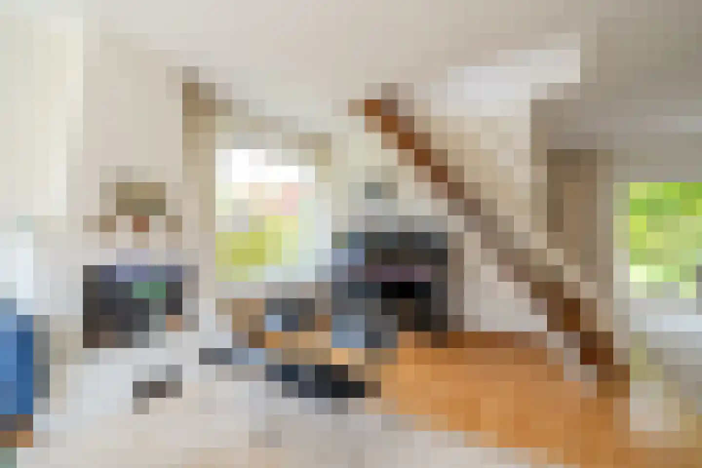 Hulstweg 10 Glimmen thumbnail 19