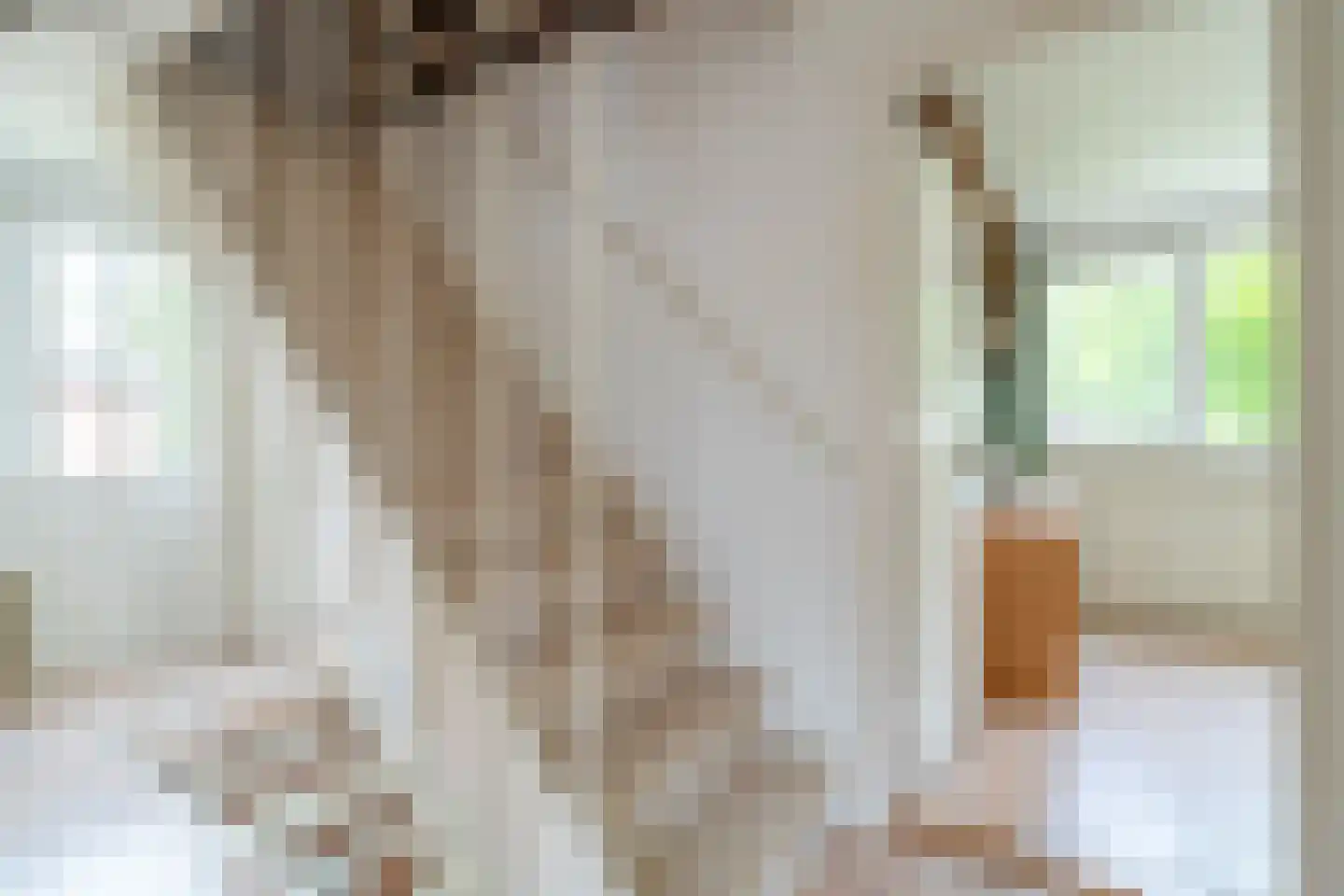 Hulstweg 10 Glimmen thumbnail 42