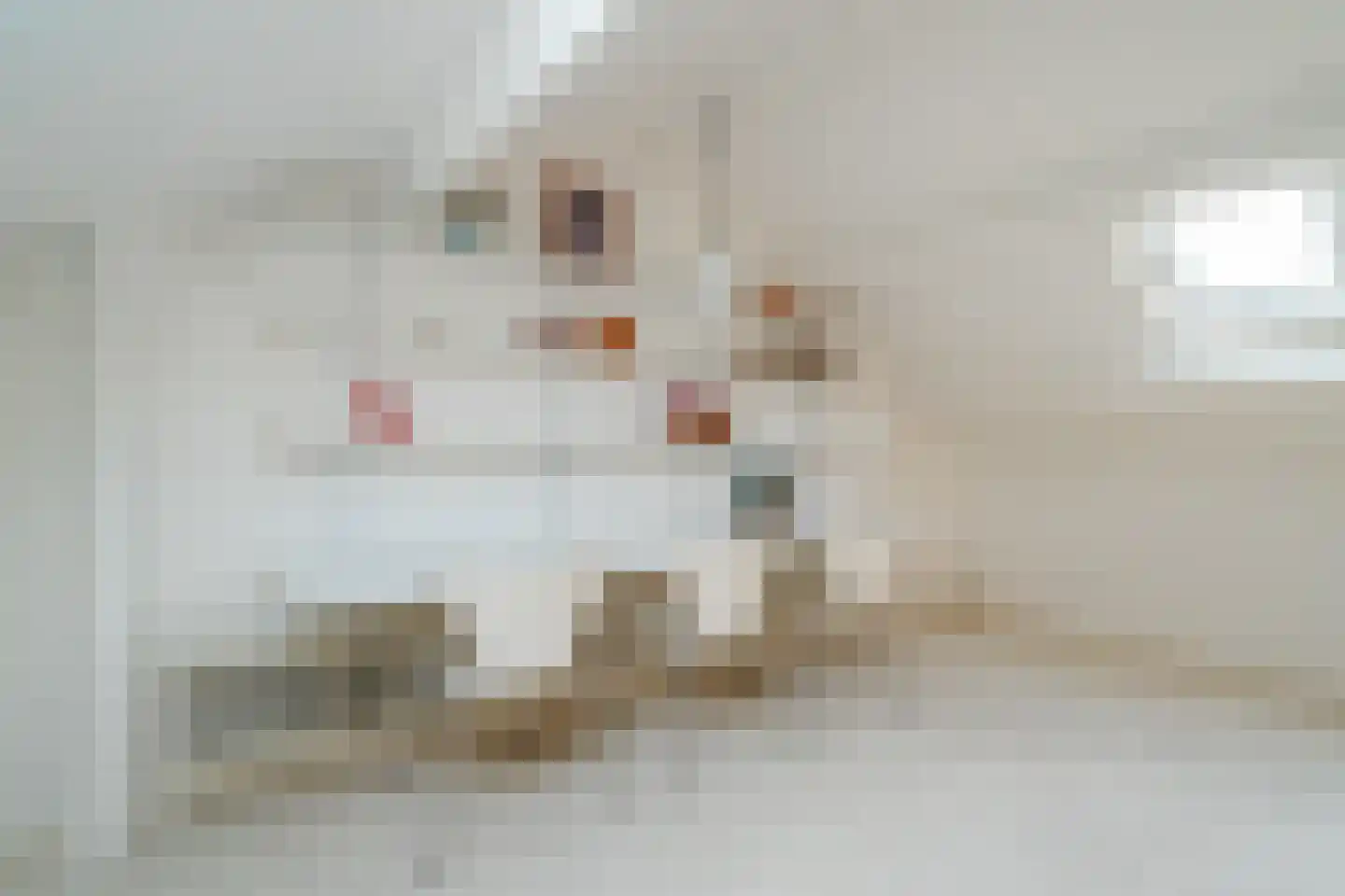 Hulstweg 10 Glimmen thumbnail 46