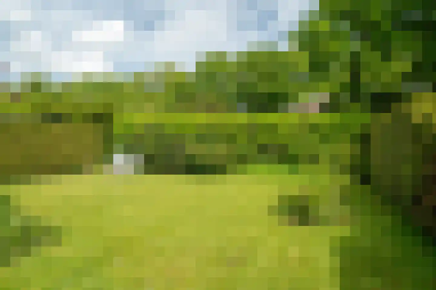 Hulstweg 10 Glimmen thumbnail 53