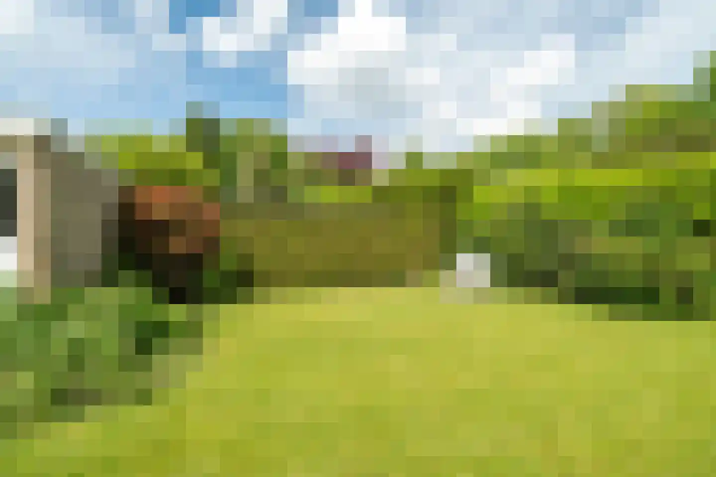 Hulstweg 10 Glimmen thumbnail 54