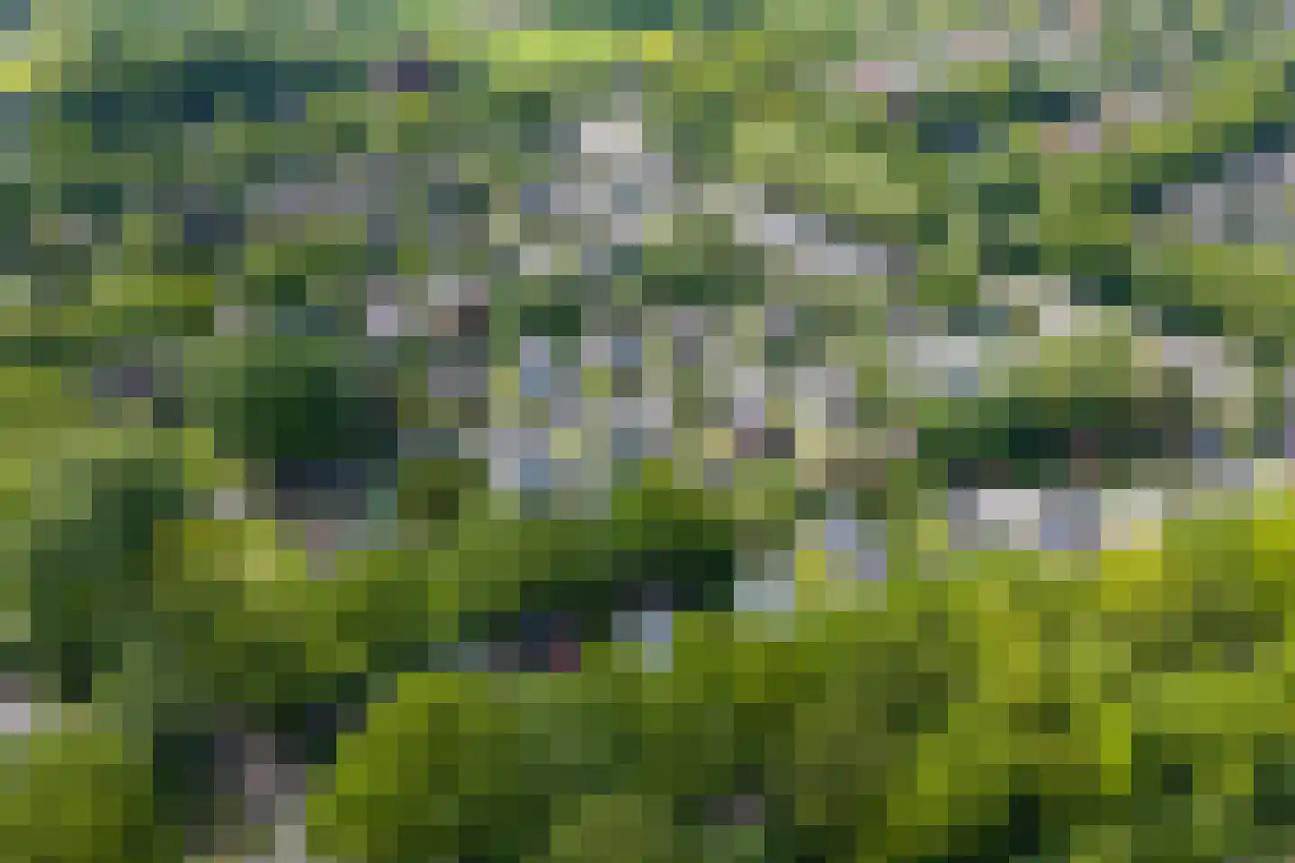 Hulstweg 10 Glimmen thumbnail 59
