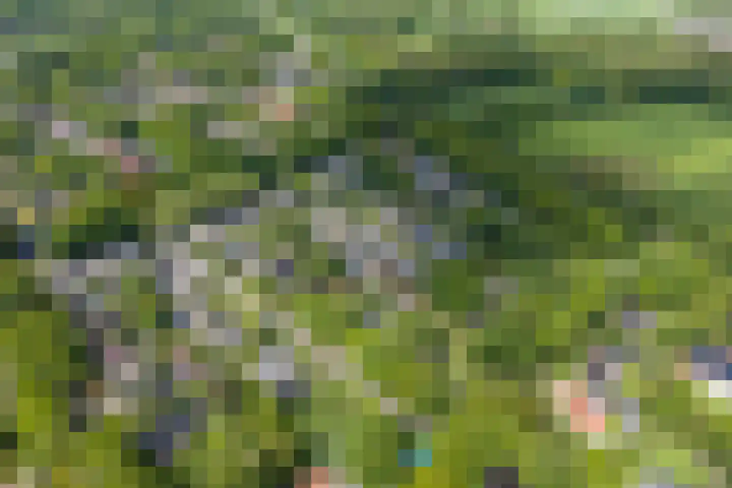 Hulstweg 10 Glimmen thumbnail 60